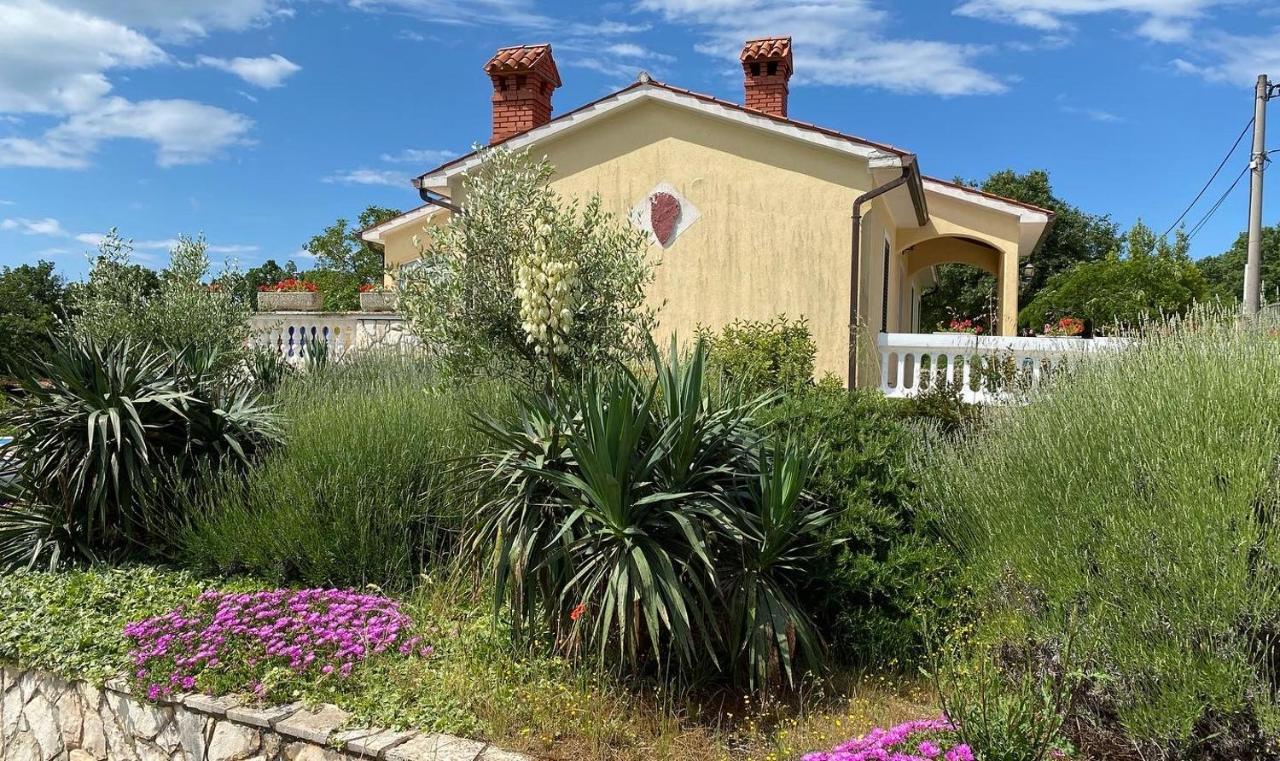 Villa Yucca Istra Labin  Dış mekan fotoğraf